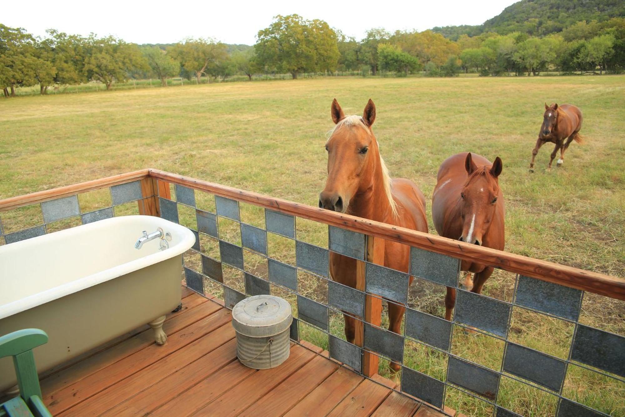 Вилла Montesino Ranch Lodging Уимберли Экстерьер фото